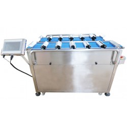 Weighing combination scale
