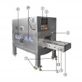 Fish Descaling Machine