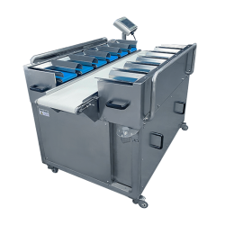 Weighing combination scale