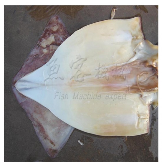 Medium fish fillet machine
