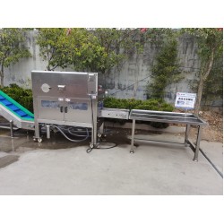 Catfish fish processing machine