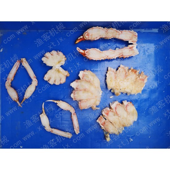 Large fish cutting and slicing machine