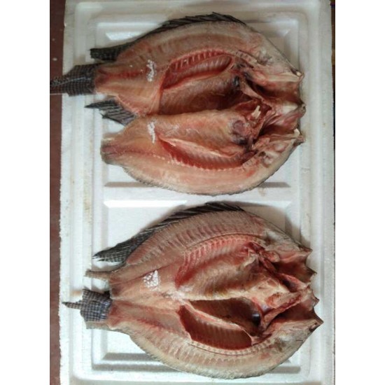 Large fish cutting and slicing machine