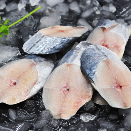 Fish sectioning machine