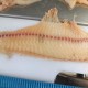 Horizontal slicing machine