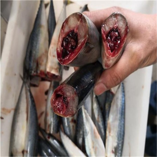 Fish decapitator