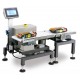 Small Fish Filleting Machine Small Fish Filleting Machine