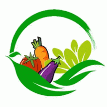 Vegetable & fruit machine