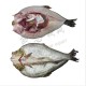 Medium size fish backbreaker Medium size fish backbreaker