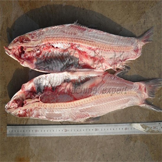 Medium size fish backbreaker Medium size fish backbreaker