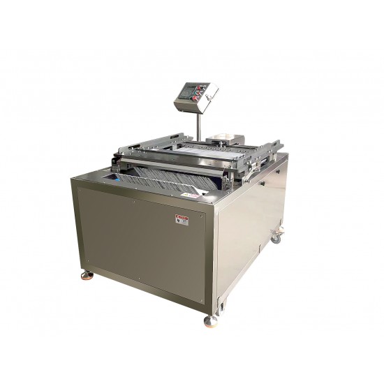 Salmon machine Salmon machine