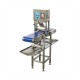 Salmon pin bone machine