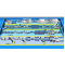 Sardine processing lines