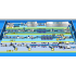 Sardine processing lines