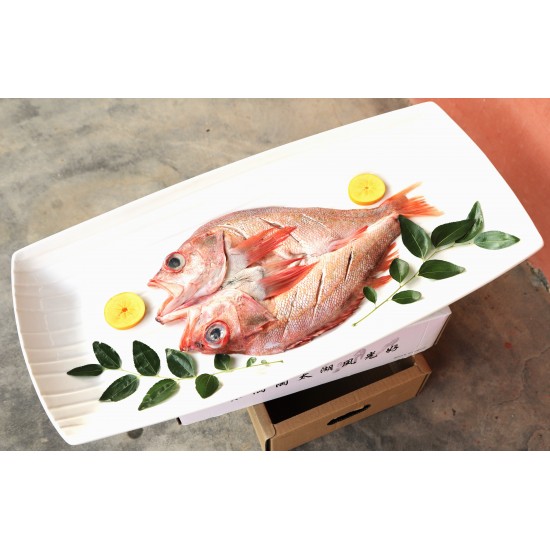 Catfish fish processing line Catfish fish processing line