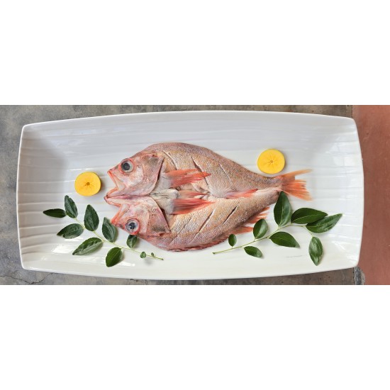 Small Fish Filleting Machine ,Small Fish Cutting Machine Small Fish Filleting Machine ,Small Fish Cutting Machine