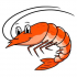 Shrimp Grading Machine